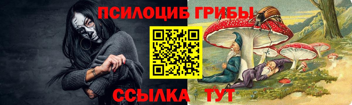 Псилоцибиновые грибы Cubensis  Псилоцибиновые грибы мухоморы  Вход с VPN  Елец 